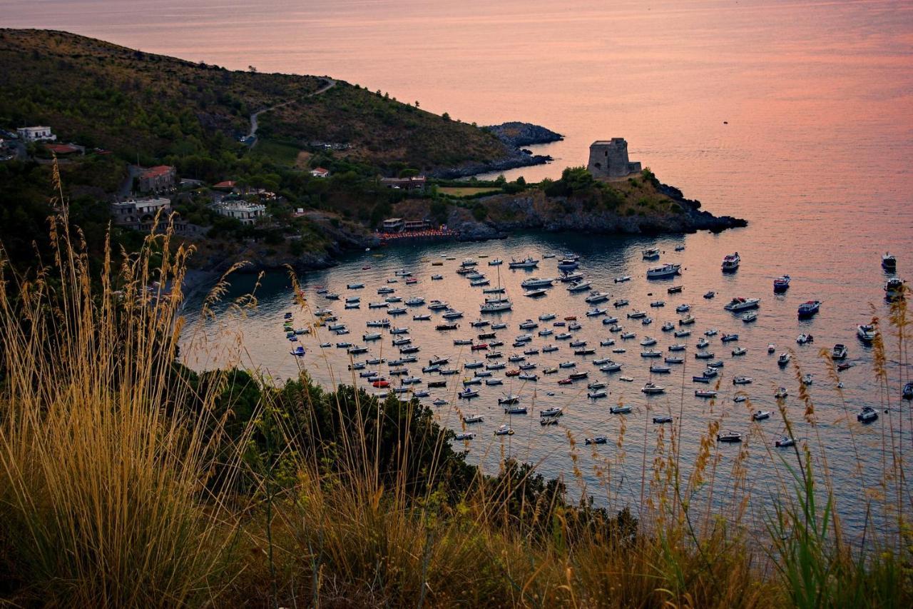Villa La Ficuzza Cittadella del Capo Kültér fotó